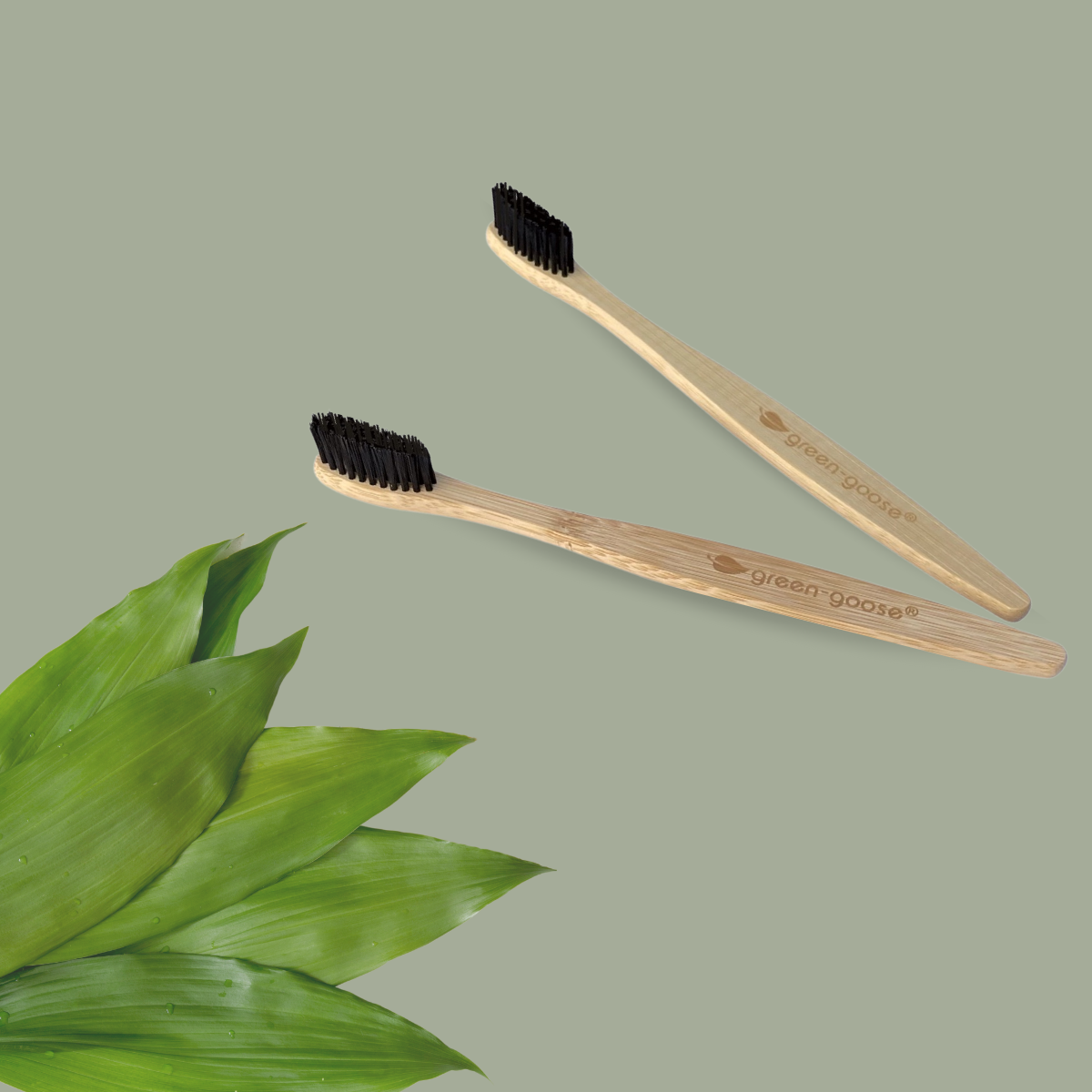 green-goose Bamboe Tandenborstels | 4 Stuks | Hard