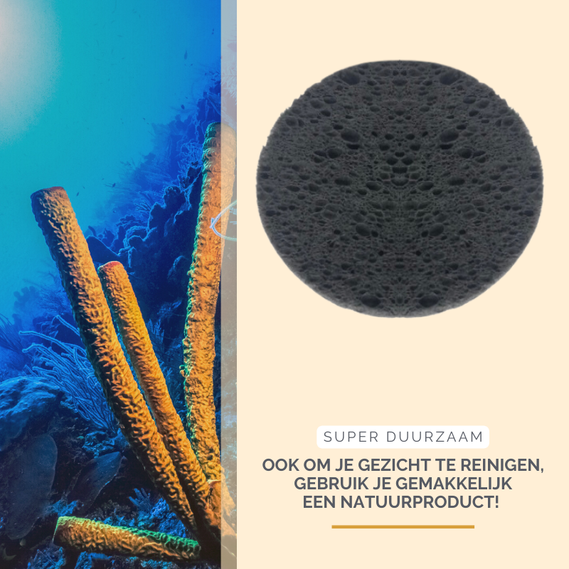 green-goose Bamboe Houtskool Cellulose Sponsjes - 20 Stuks