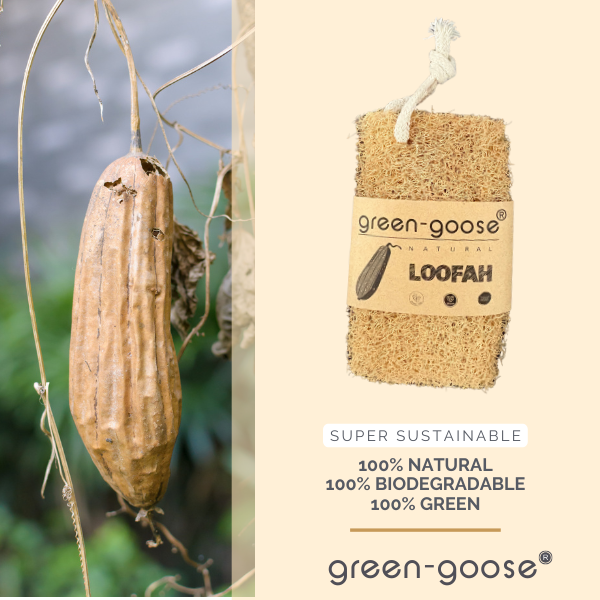 green-goose Loofah Scrub Spons