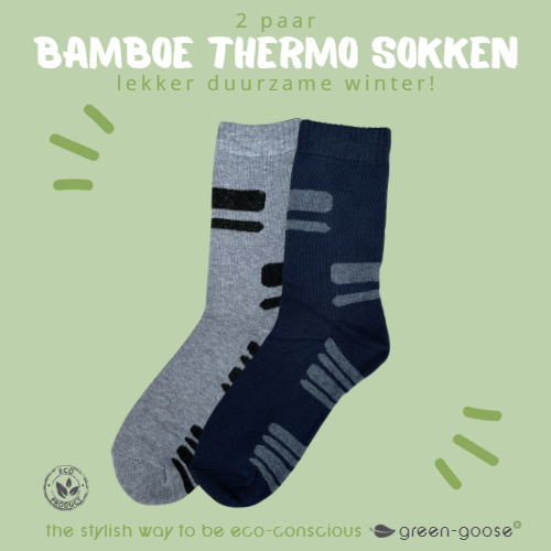 green-goose Bamboe Badstof Thermossokken Heren | 2 Paar